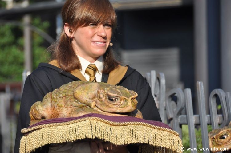 Harry_Potter_-_13