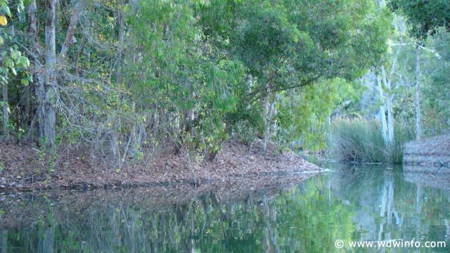 Hartley's Crocodile Farm
