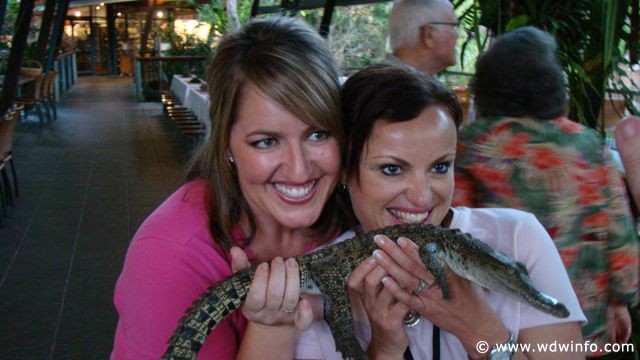 Hartley's Crocodile Farm