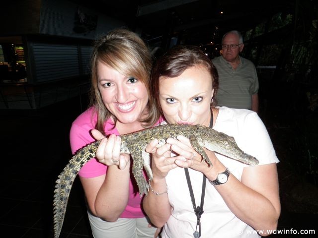 Hartley's Crocodile Farm