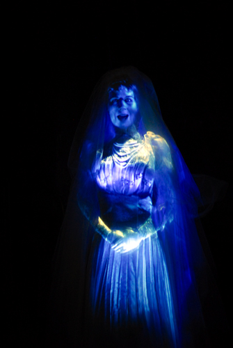 Haunted Mansion