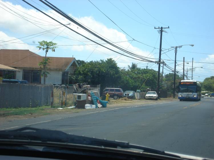 Hawaiian_Princess_Neighborhood