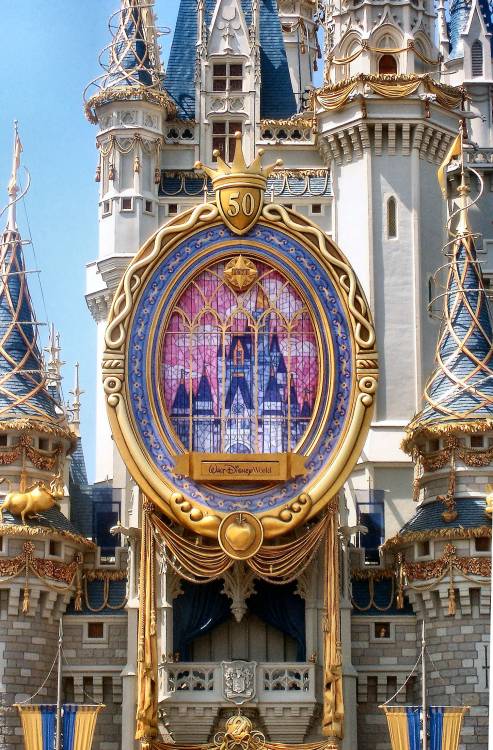 HCOE Mirror