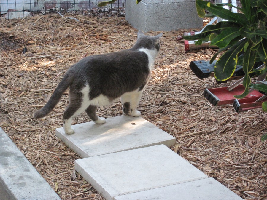 Hemingway House