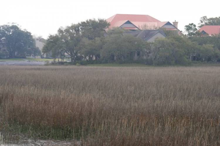 HH- March, 2008