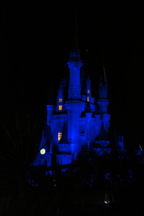 Hidden Castle