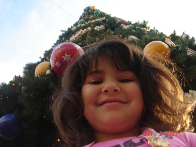 Hidden Christmas Mickey!