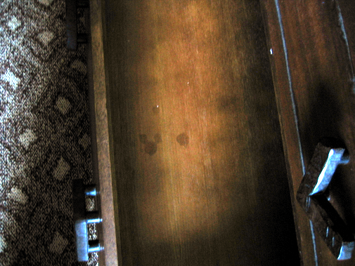 Hidden Mickey inside AKL drawer