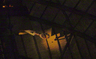 Hidden Mickey on a light