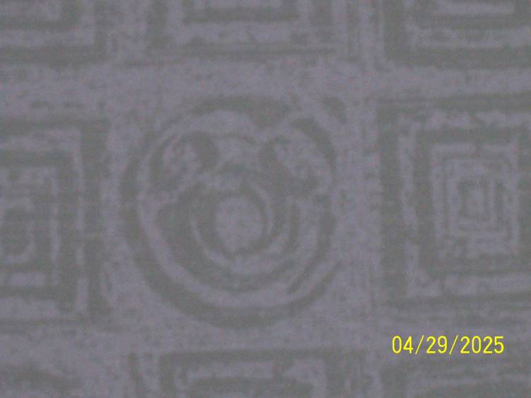hidden mickey