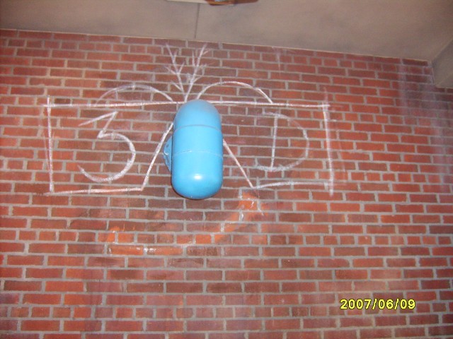 HiddenMickey6