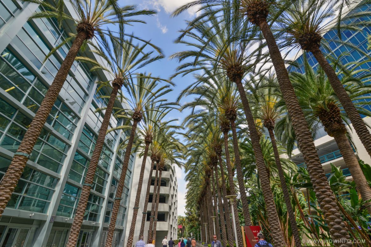 Hilton-Anaheim-136
