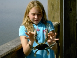 Hilton Head Oct 2004