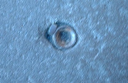 HMRing