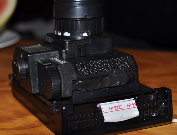 Holga