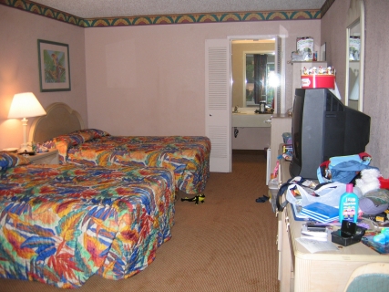 Holiday Inn Nikki Bird-excuse the mess