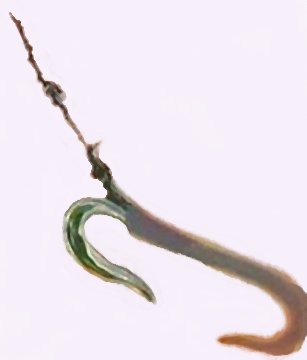 Hook's Hook