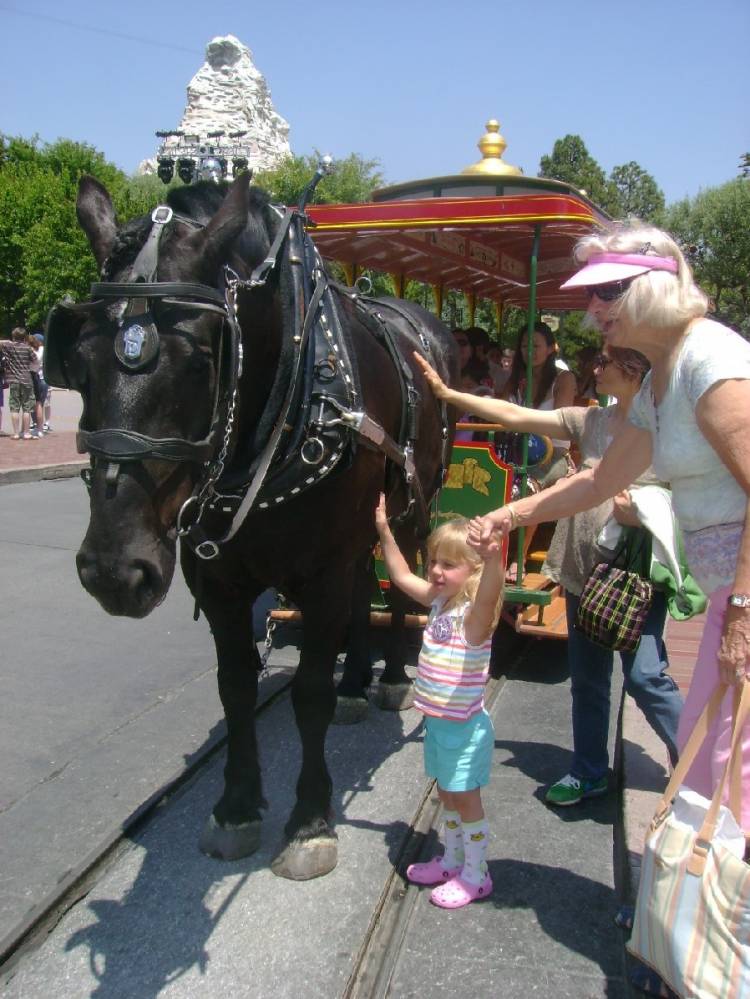 Horse and Trolley