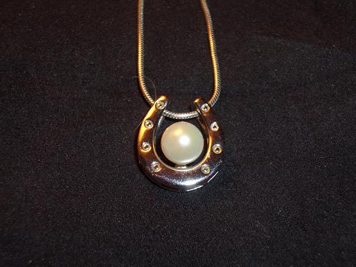Horseshoe setting