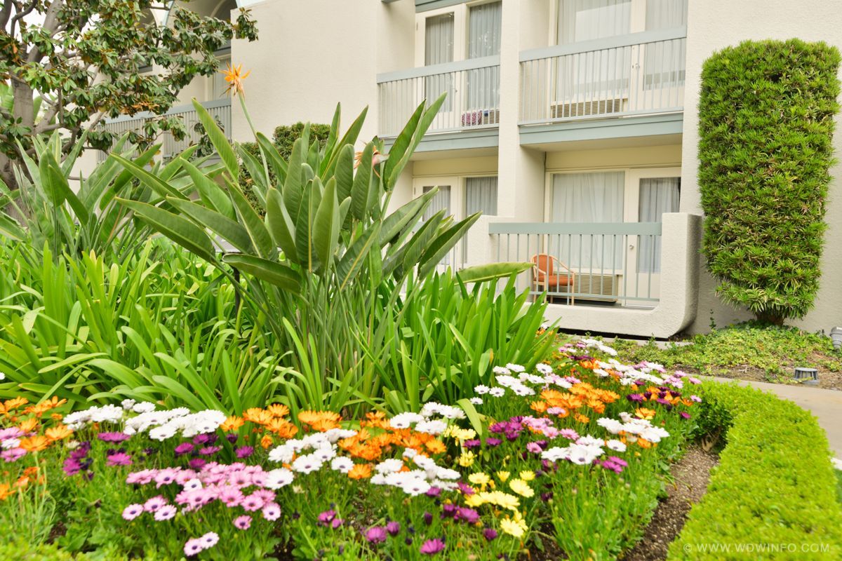 Howard-Johnson-Anaheim-114