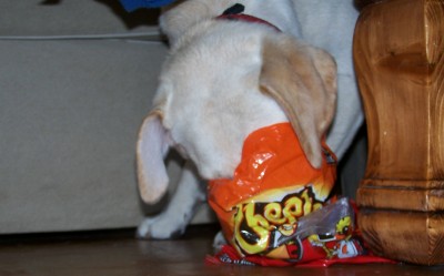 hungry