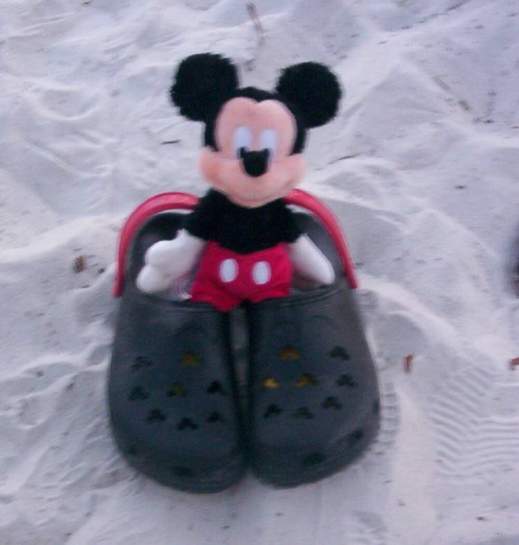 I Think My Shoes Are A Little Big