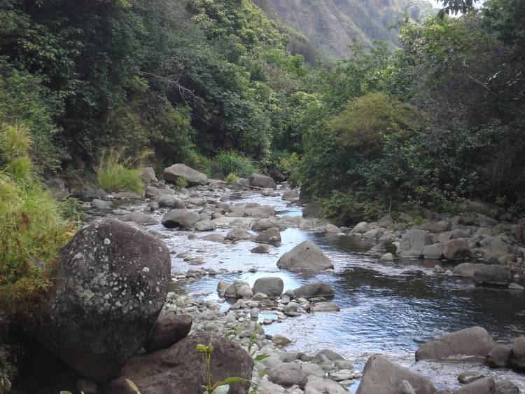 IAO Maui