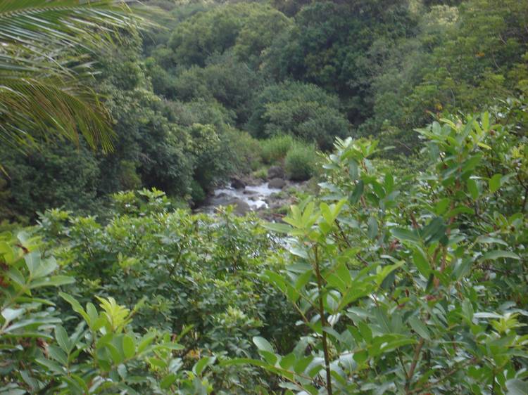 IAO Valley Maui