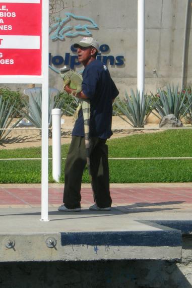 iguana_man