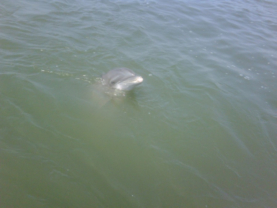 IMG00027-20110621-1110