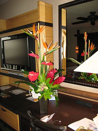IMG_0282a