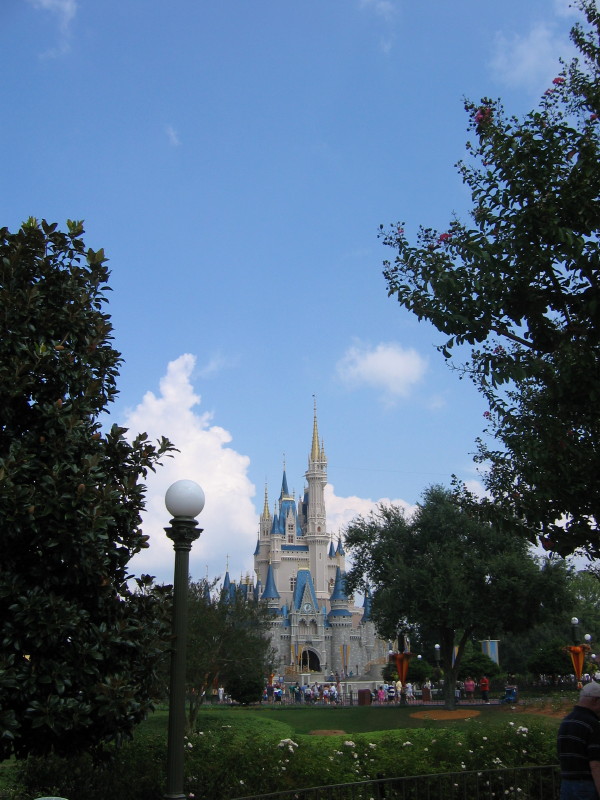 IMG_3645_1