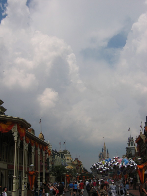 IMG_3647_1