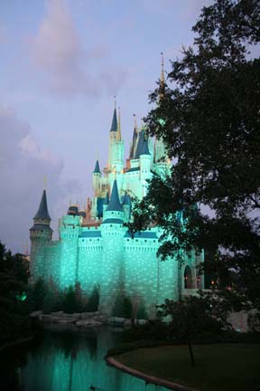 IMG_6575