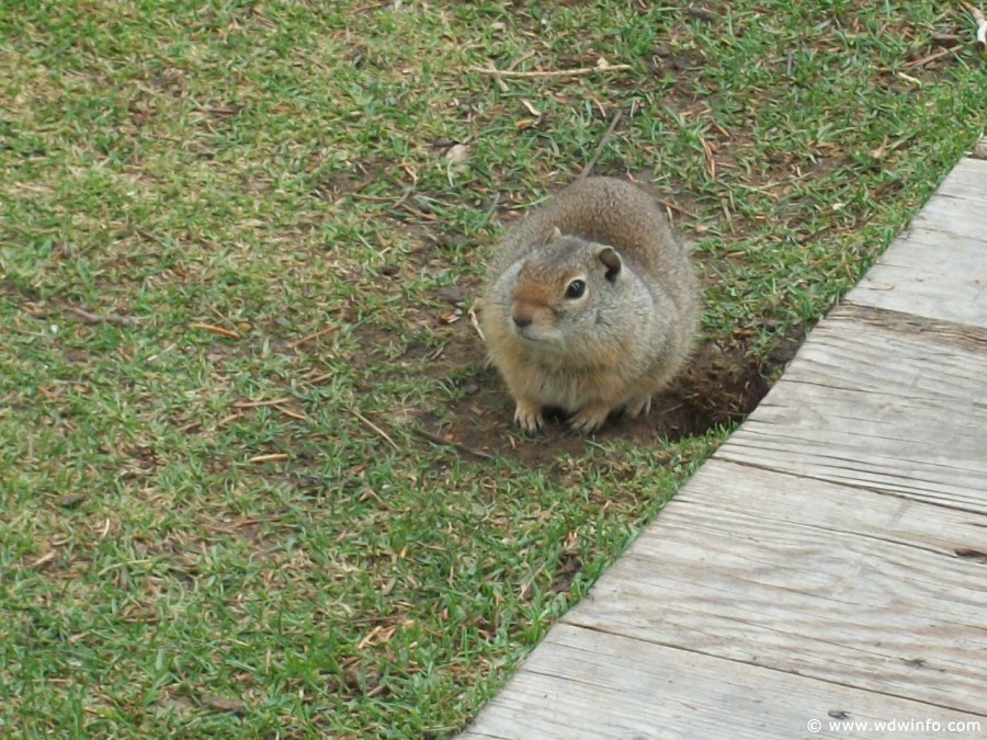 Jackson-Wyoming-016