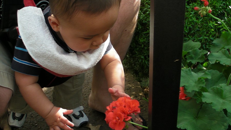 JaedenEasterMO
