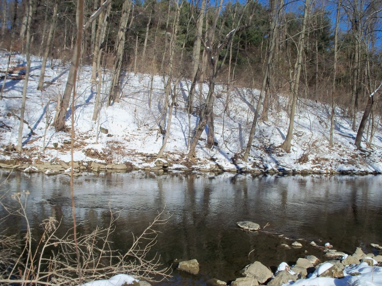 JAN_TROUT_004