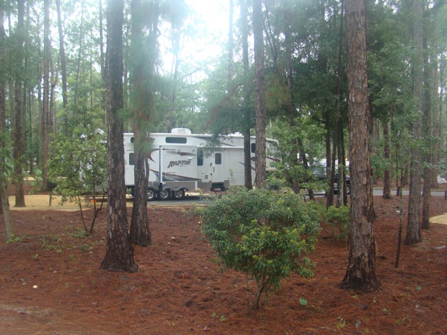 July 2008 site 1208