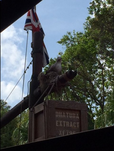 Jungle Cruise Decor 1 - MK 09-04-2017