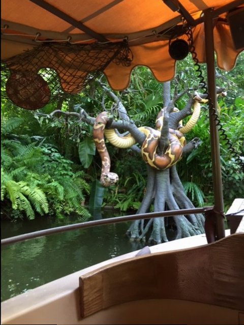 Jungle Cruise Decor 4 - MK 09-04-2017