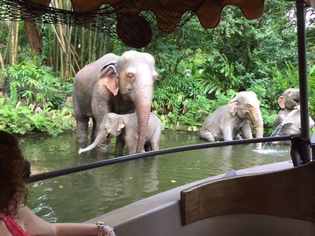 Jungle Cruise Decor  6 - MK 09-04-2017