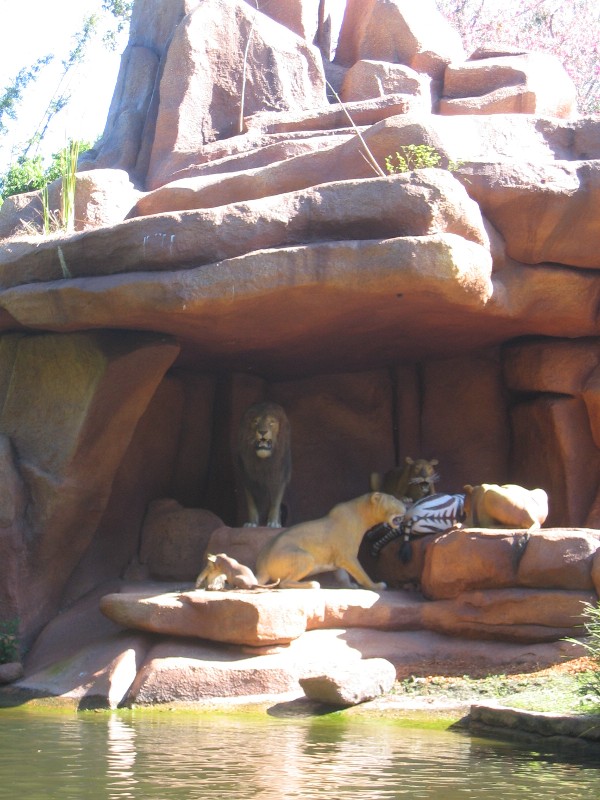 Jungle2small