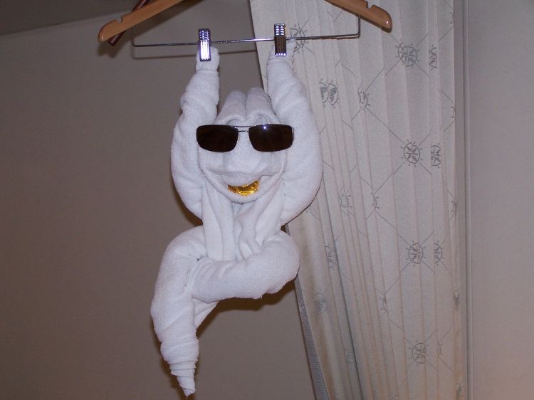 Just hanging around