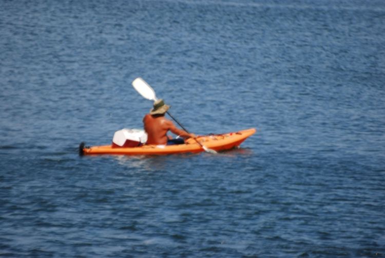 kayak