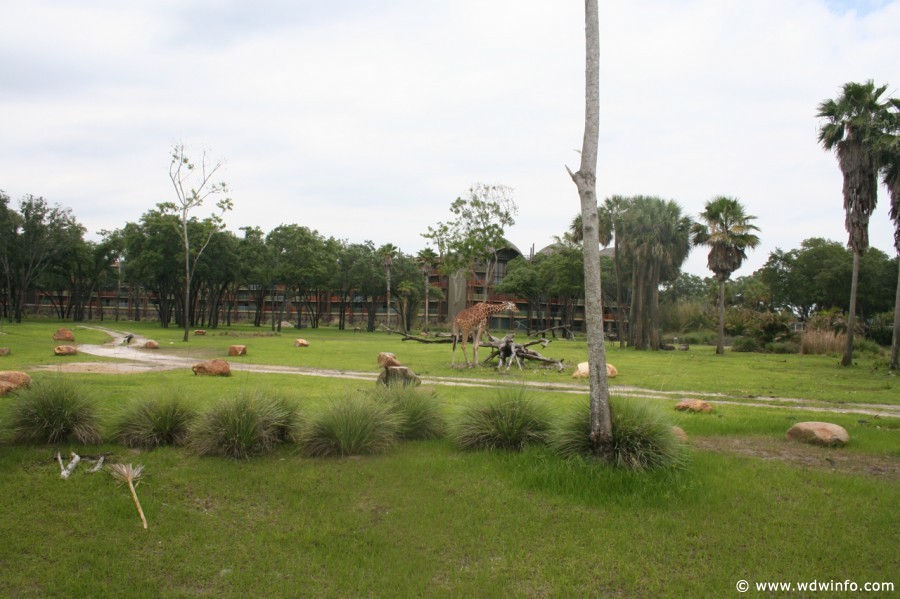 Kidani-Village-0030
