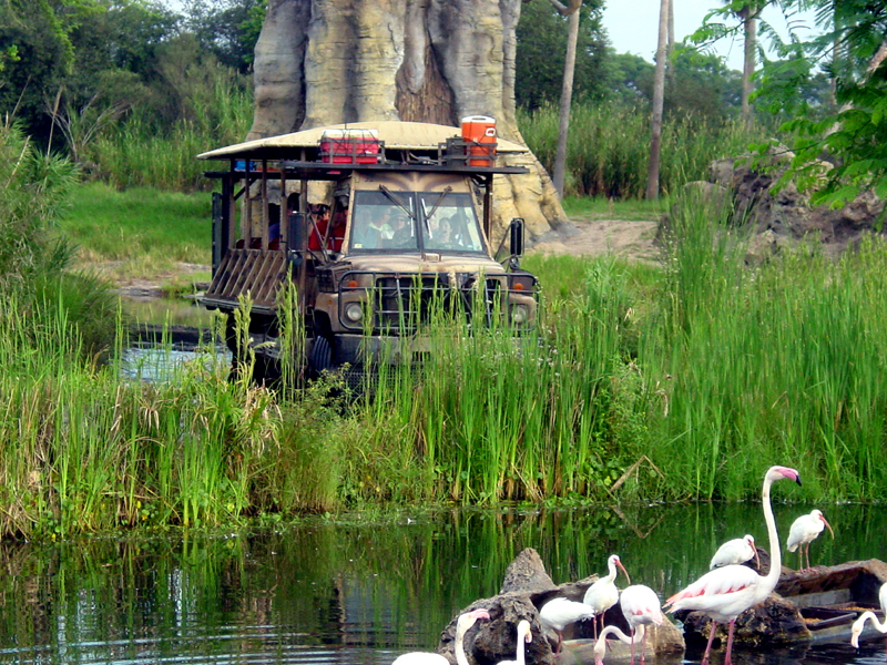 Kilimanjaro Safari