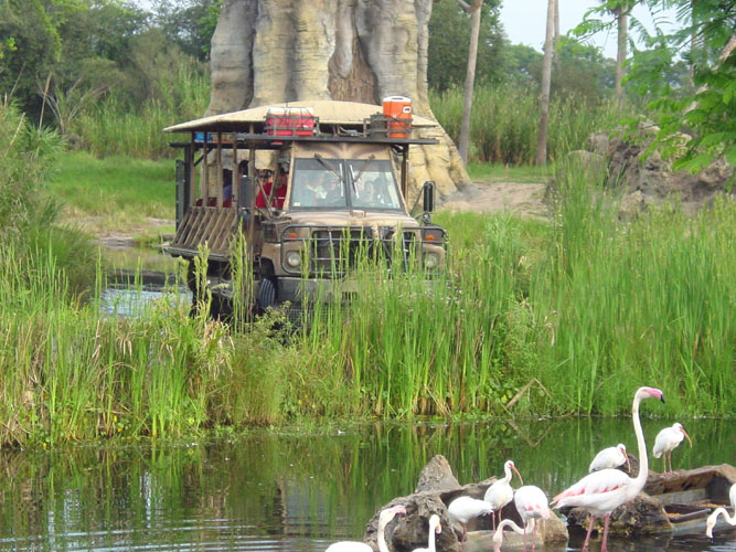 Kilimanjaro Safaris