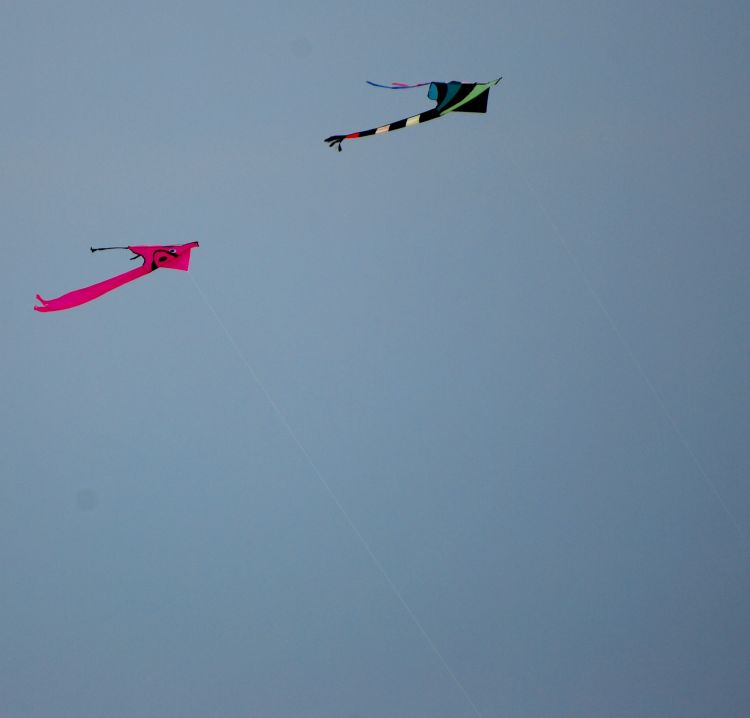 kite_in_flght