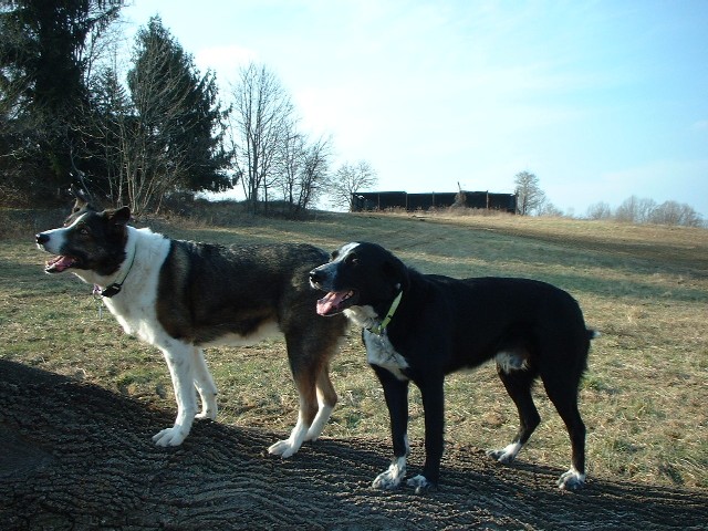 Koati_and_Casey2