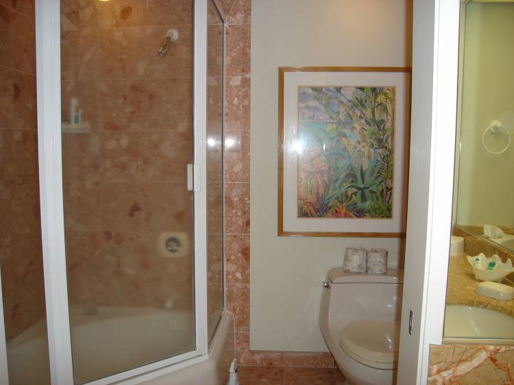 Kona_Coast_II_Bathroom_1_v2